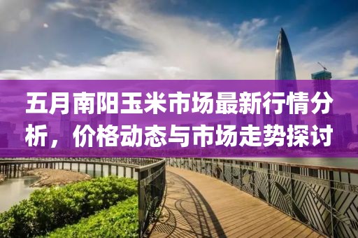 五月南阳玉米市场最新行情分析，价格动态与市场走势探讨