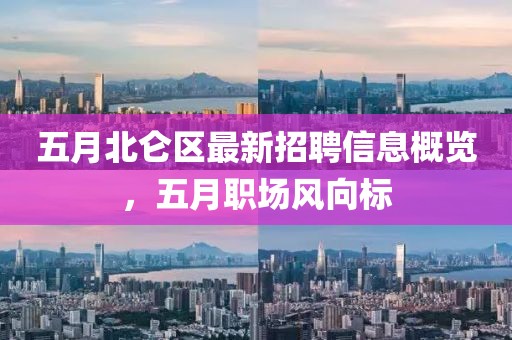 五月北仑区最新招聘信息概览，五月职场风向标