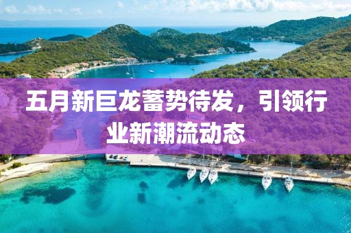 五月新巨龙蓄势待发，引领行业新潮流动态
