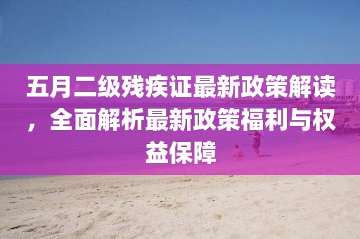 五月二级残疾证最新政策解读，全面解析最新政策福利与权益保障