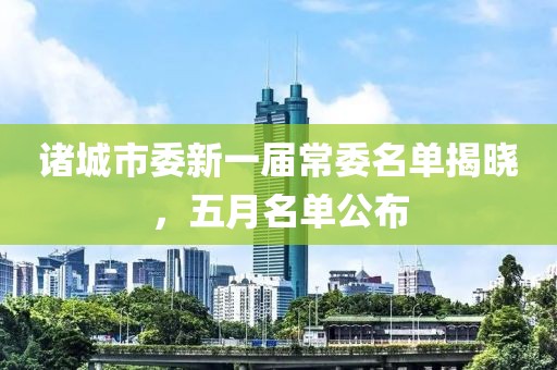 诸城市委新一届常委名单揭晓，五月名单公布