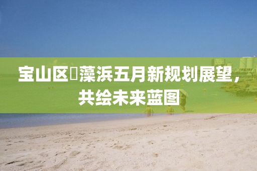 宝山区蕰藻浜五月新规划展望，共绘未来蓝图