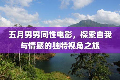 五月男男同性电影，探索自我与情感的独特视角之旅