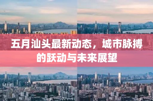 五月汕头最新动态，城市脉搏的跃动与未来展望
