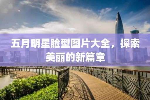 五月明星脸型图片大全，探索美丽的新篇章