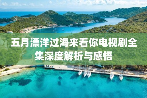 五月漂洋过海来看你电视剧全集深度解析与感悟