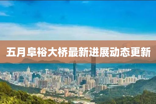 五月阜裕大桥最新进展动态更新