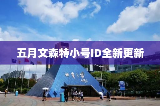 五月文森特小号ID全新更新