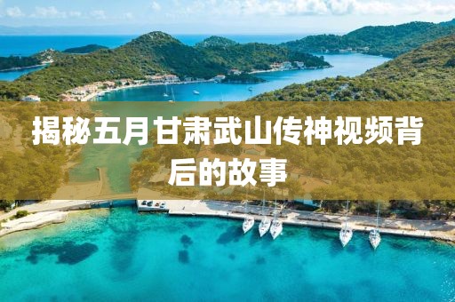 揭秘五月甘肃武山传神视频背后的故事
