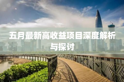 五月最新高收益项目深度解析与探讨