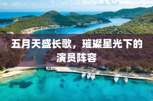 五月天盛长歌，璀璨星光下的演员阵容
