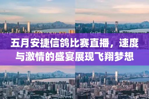 五月安捷信鸽比赛直播，速度与激情的盛宴展现飞翔梦想