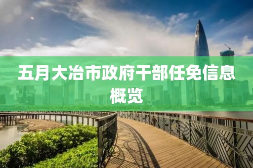 五月大冶市政府干部任免信息概览