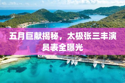 五月巨献揭秘，太极张三丰演员表全曝光
