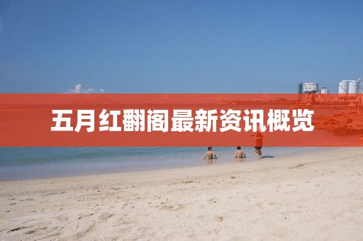 五月红翻阁最新资讯概览