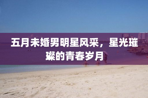 五月未婚男明星风采，星光璀璨的青春岁月