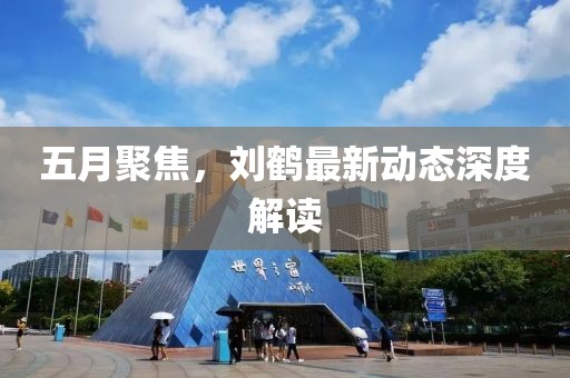 五月聚焦，刘鹤最新动态深度解读