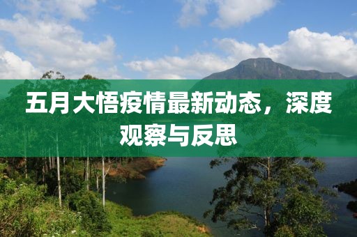 五月大悟疫情最新动态，深度观察与反思