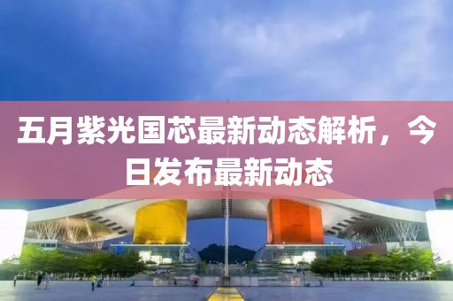 五月紫光国芯最新动态解析，今日发布最新动态