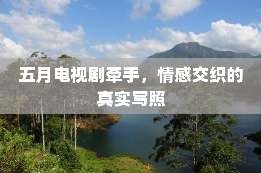 五月电视剧牵手，情感交织的真实写照