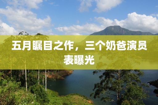 五月瞩目之作，三个奶爸演员表曝光