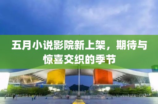 五月小说影院新上架，期待与惊喜交织的季节