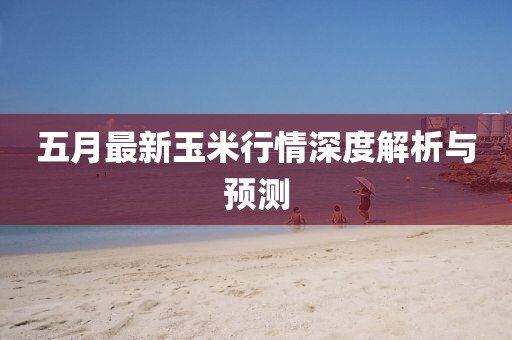 五月最新玉米行情深度解析与预测