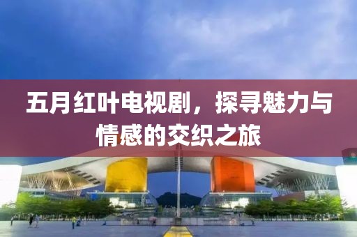 五月红叶电视剧，探寻魅力与情感的交织之旅