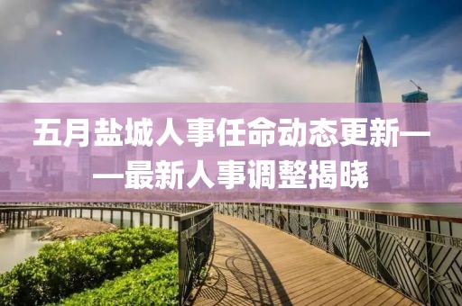 五月盐城人事任命动态更新——最新人事调整揭晓