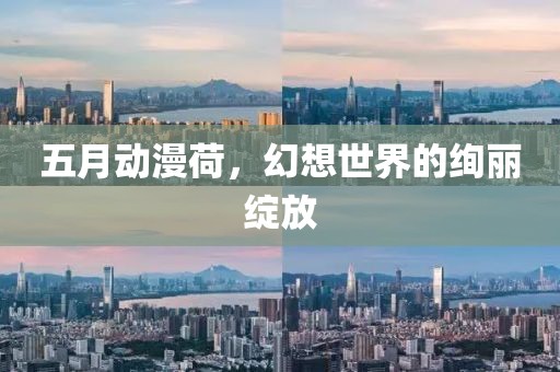 五月动漫荷，幻想世界的绚丽绽放
