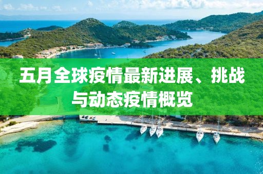 五月全球疫情最新进展、挑战与动态疫情概览