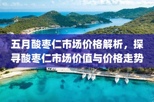 五月酸枣仁市场价格解析，探寻酸枣仁市场价值与价格走势