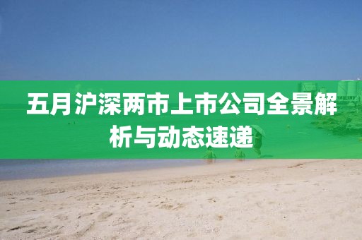 五月沪深两市上市公司全景解析与动态速递