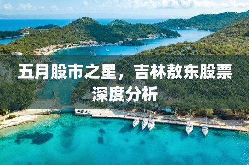 五月股市之星，吉林敖东股票深度分析
