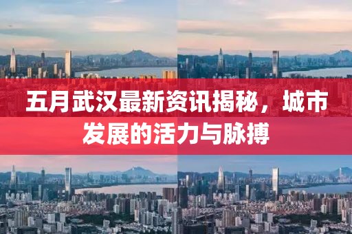 五月武汉最新资讯揭秘，城市发展的活力与脉搏
