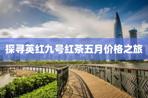 探寻英红九号红茶五月价格之旅