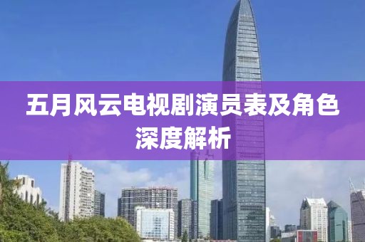 五月风云电视剧演员表及角色深度解析