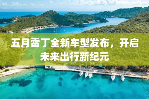 五月雷丁全新车型发布，开启未来出行新纪元