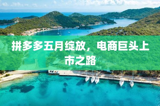 拼多多五月绽放，电商巨头上市之路