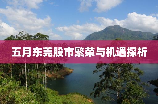 五月东莞股市繁荣与机遇探析