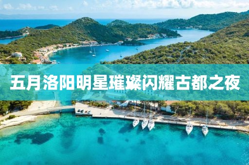 五月洛阳明星璀璨闪耀古都之夜