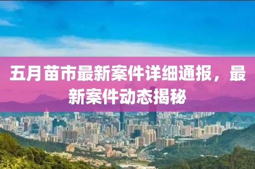 五月苗市最新案件详细通报，最新案件动态揭秘