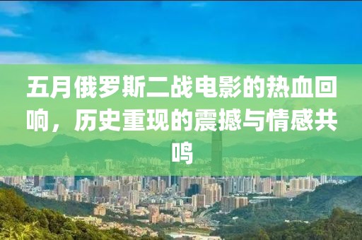 五月俄罗斯二战电影的热血回响，历史重现的震撼与情感共鸣