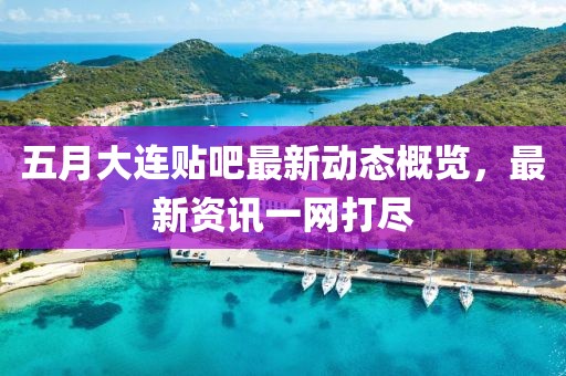 五月大连贴吧最新动态概览，最新资讯一网打尽