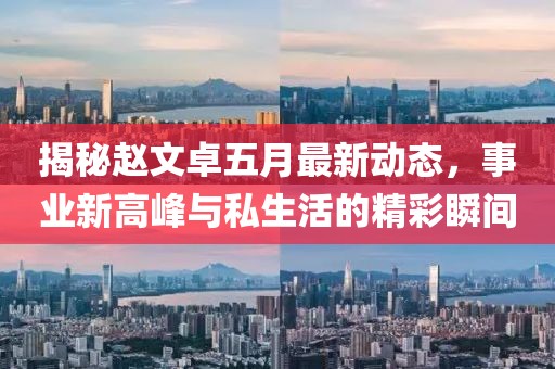 揭秘赵文卓五月最新动态，事业新高峰与私生活的精彩瞬间