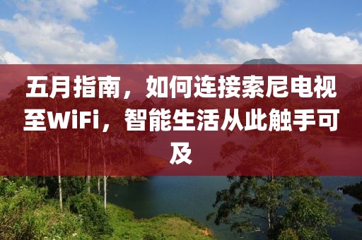 五月指南，如何连接索尼电视至WiFi，智能生活从此触手可及