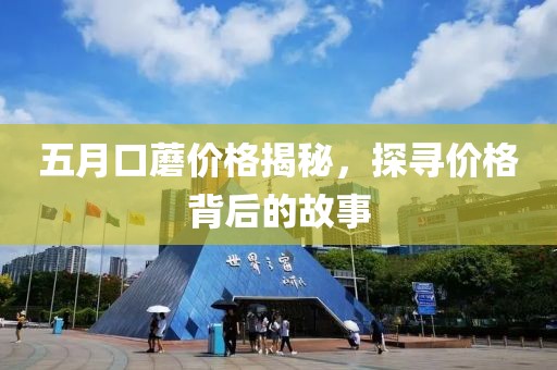 五月口蘑价格揭秘，探寻价格背后的故事