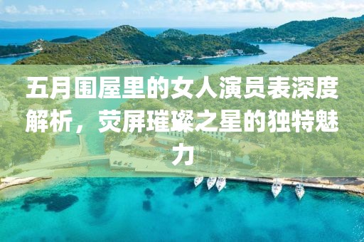 五月围屋里的女人演员表深度解析，荧屏璀璨之星的独特魅力