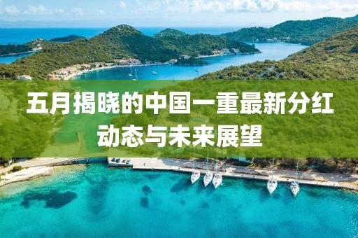 五月揭晓的中国一重最新分红动态与未来展望