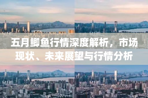 五月鲫鱼行情深度解析，市场现状、未来展望与行情分析